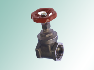 Stainless Steel Gate Valve Price List